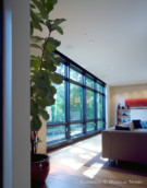 Real Estate in Chapel Hill Estates